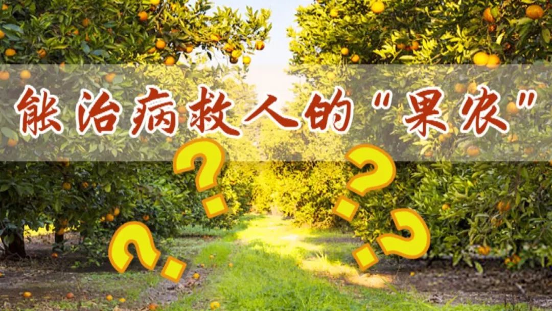 生姜可以治肿瘤养生堂节目,养生堂肿瘤真相大揭秘