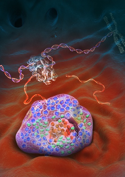 科学家发明胚胎移植术,中国科学家人类胚胎