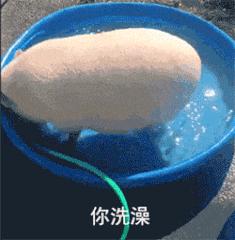 舶来品是真的吗,海外舶来品