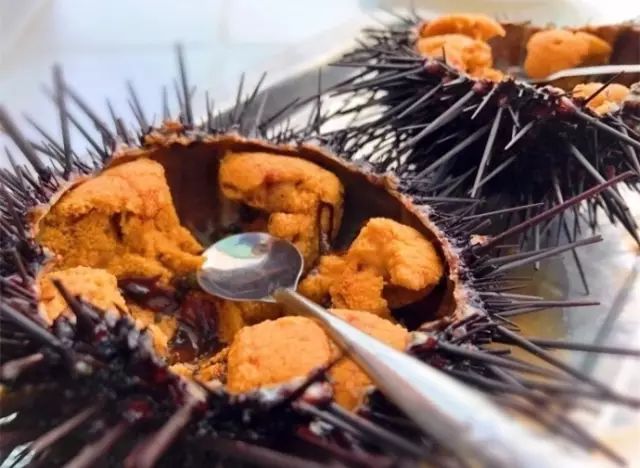 大连开海后的海鲜,开海了吃海鲜去哪个码头最便宜