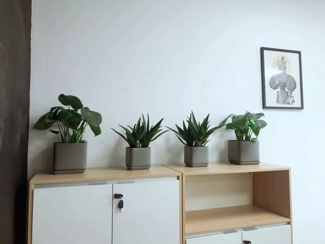 调节你家的气味儿，不只买香薰那么简单