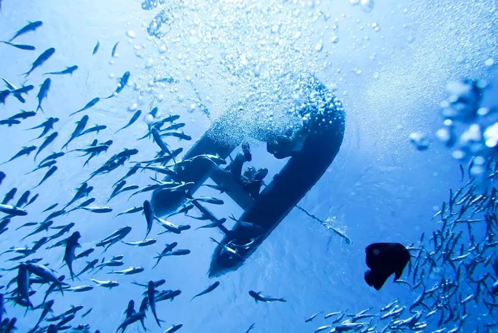 三亚3天2晚亚特兰蒂斯,三亚5天4晚亚特兰蒂斯酒店双人游