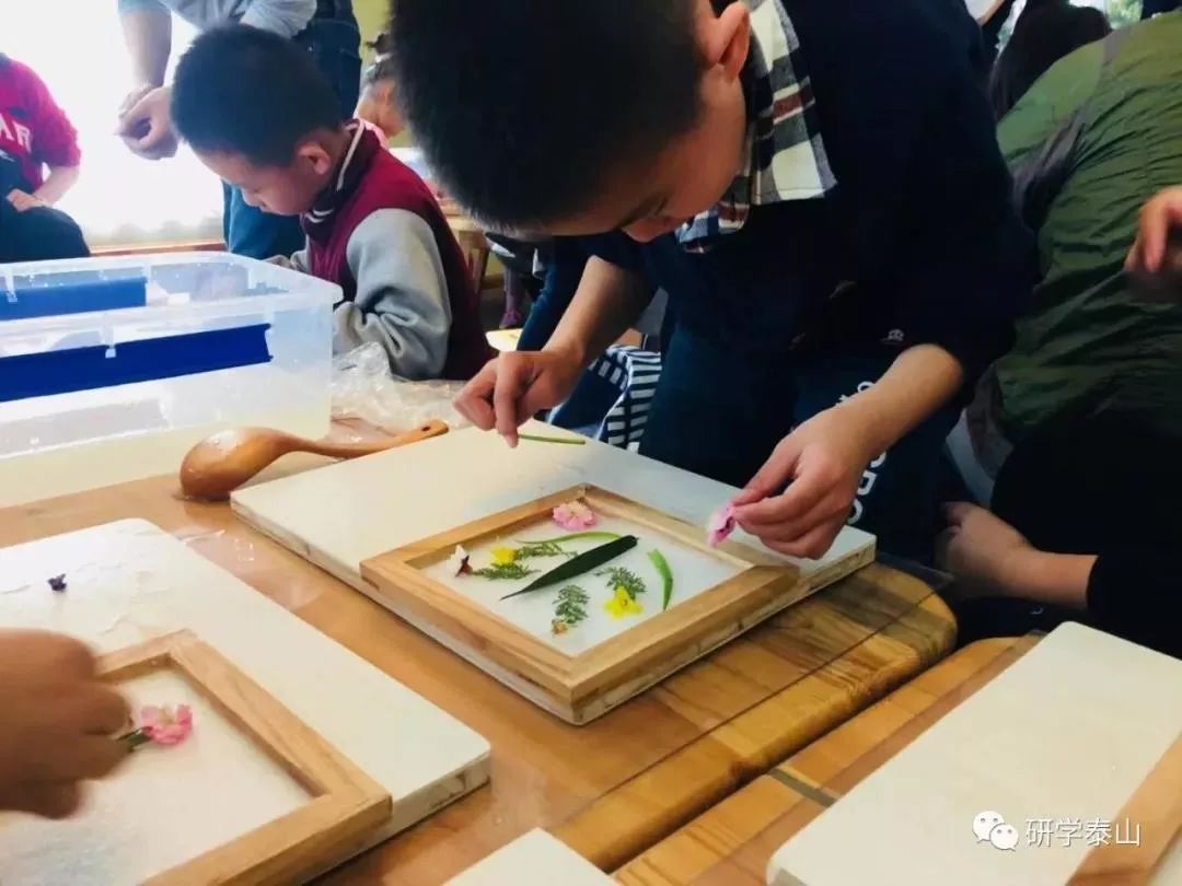 研学泰山,研学行万里探索知天下