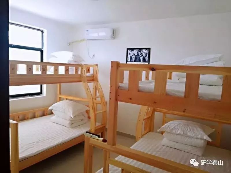 研学泰山,研学行万里探索知天下