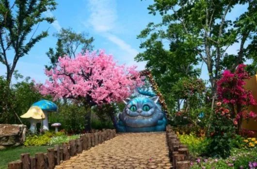 今年上海浦江郊野公园有花展吗,浦江郊野公园奇迹花展