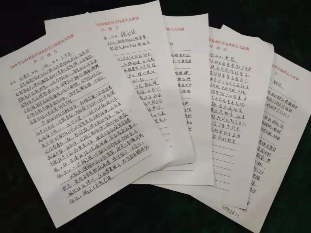 巾帼致富带头人脱贫培训班,乡村振兴巾帼行动女致富带头人