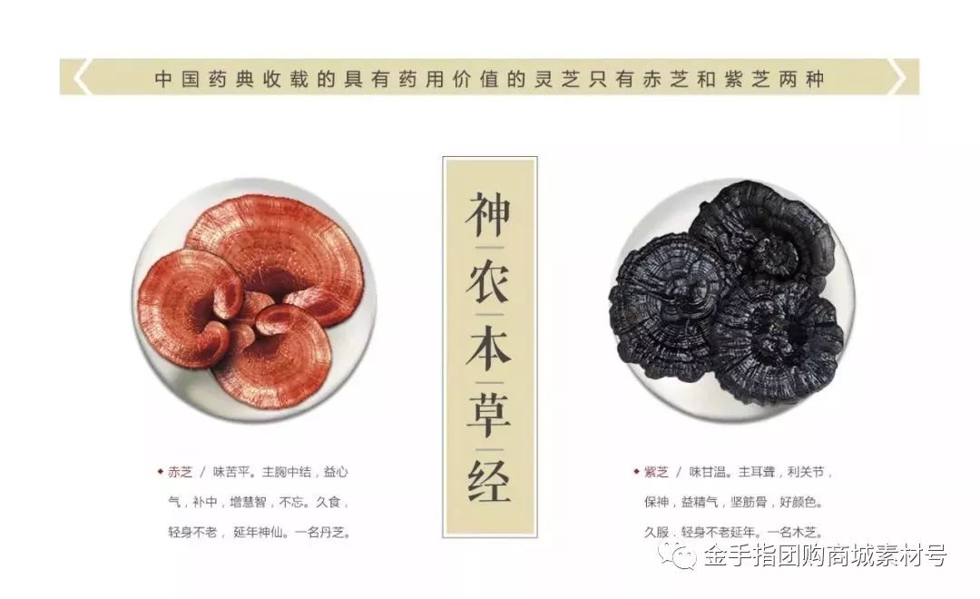 金手指团购商城团品3：甄芝灵芝西洋参茶