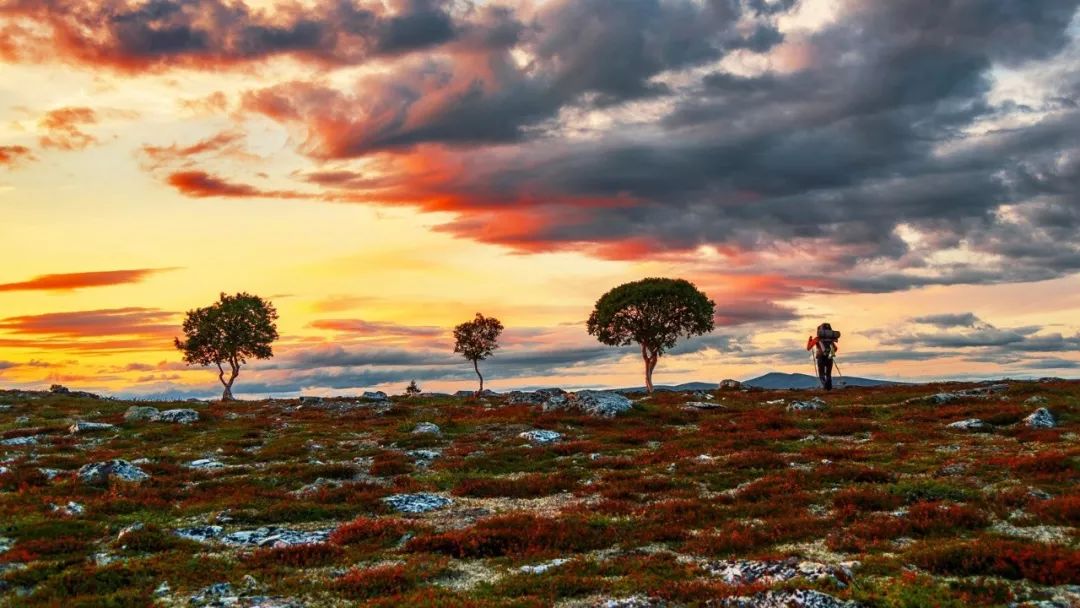 挪威的特别之处,真实的挪威