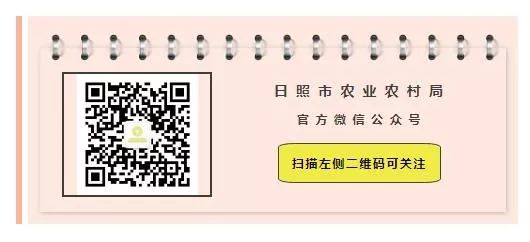 农业农村部高标准农田建设项目,农业农村部农田建设管理局电话