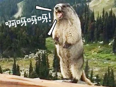 广东驾照异地考试的流程和费用,广东考驾照各科目考试间隔时间