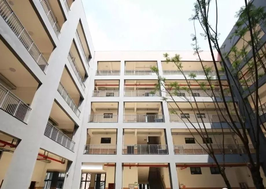 沙坪坝教育学校,沙坪坝最新建学校消息