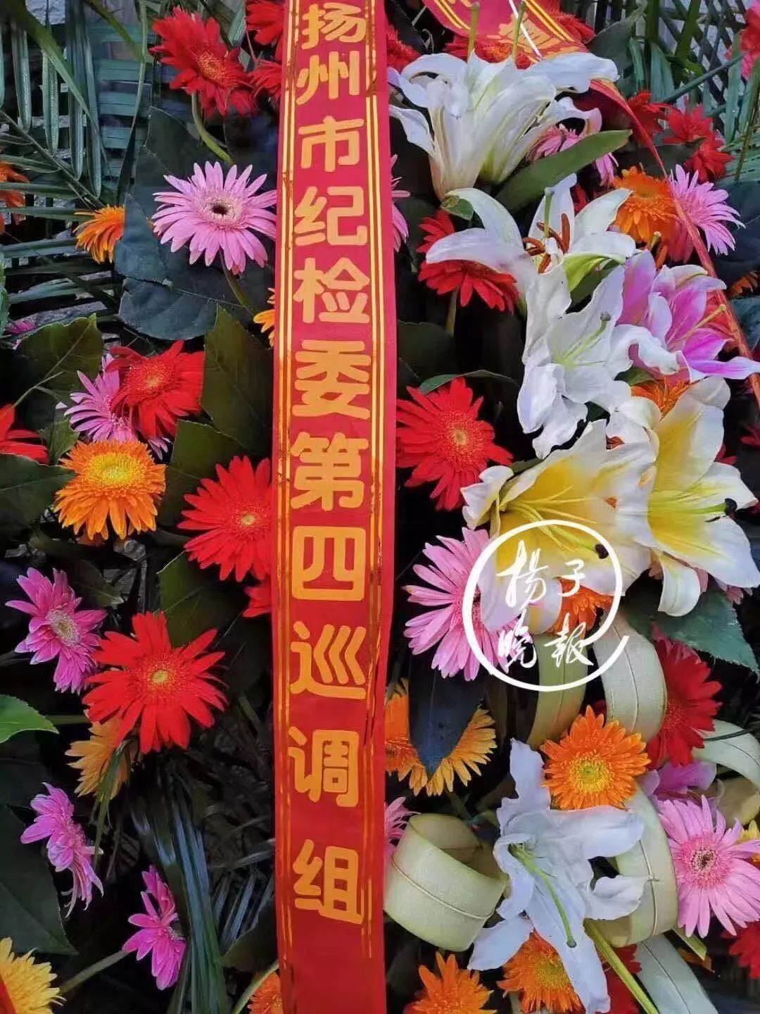 9月6日|新早读来了！活久见！奶茶店开业，“市纪检委”“市公安局”都送花篮……