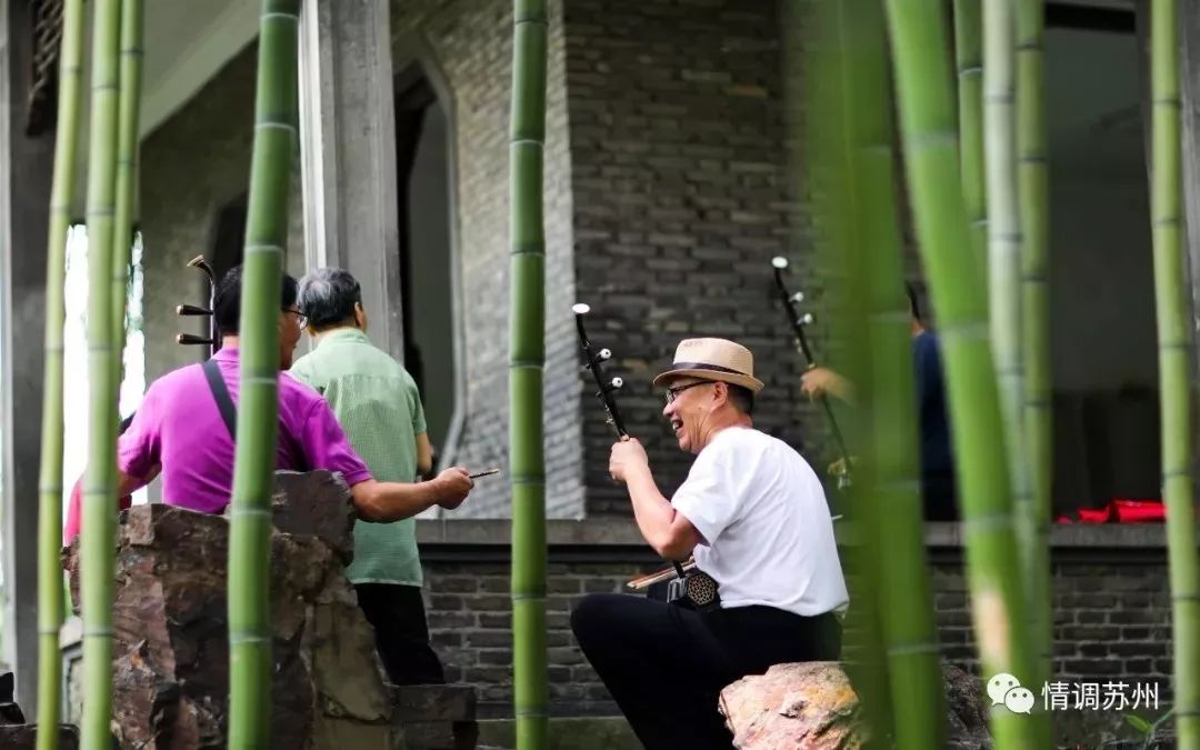 大连和苏州哪个更宜居,苏州杭州气候哪个宜居