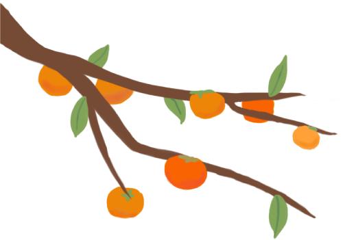 孕产知识如何缓解孕期便秘,女性孕期盆底保健系列科普