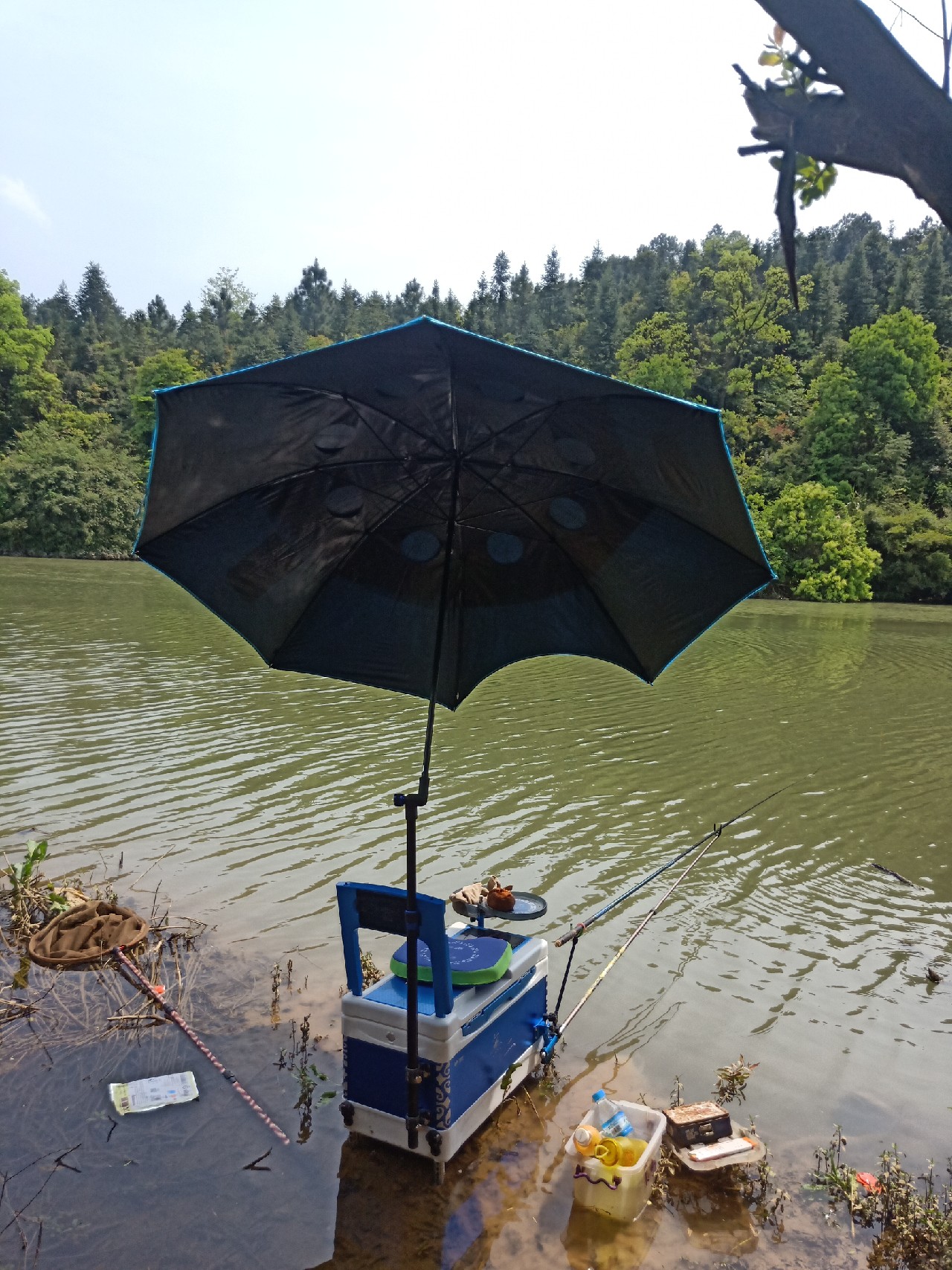 钓鱼已有几年，如今只能欣赏钓友钓鱼了...