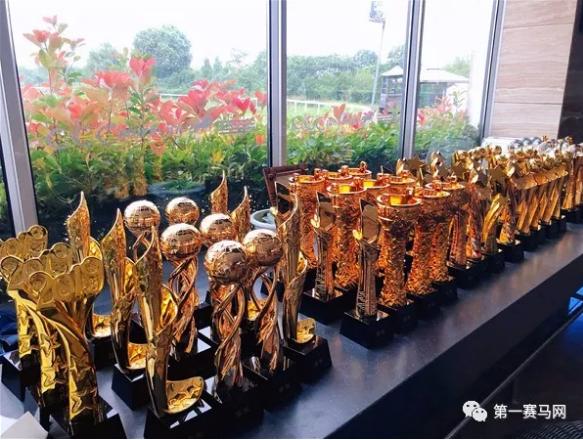 赵争军获封“两项全能王”，第一赛马网直播U系列赛受追捧