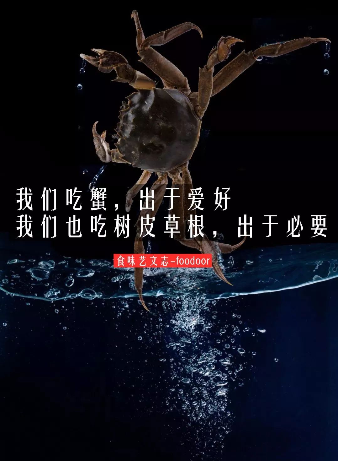 国家有什么螃蟹,国家保护的螃蟹有哪些