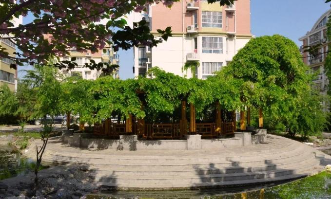 月已渐圆，沭阳原创乡情曲《印象里的故乡》，拨动思乡心弦