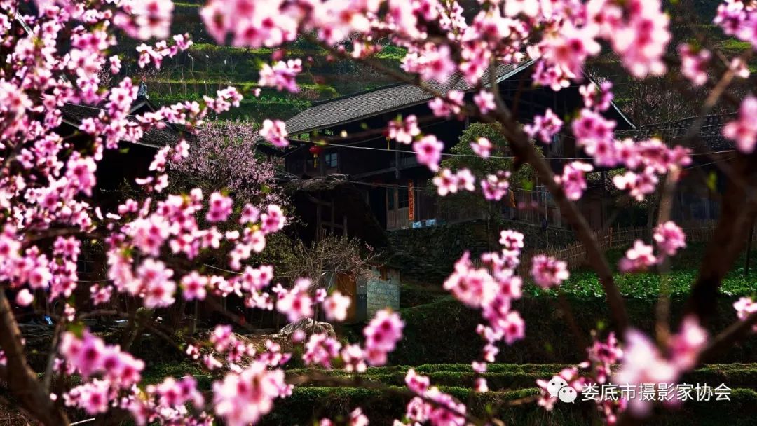 生态娄底美丽家园——【壮丽70年奋斗新时代】娄底首届风光摄影作品展览生态小品作品选登