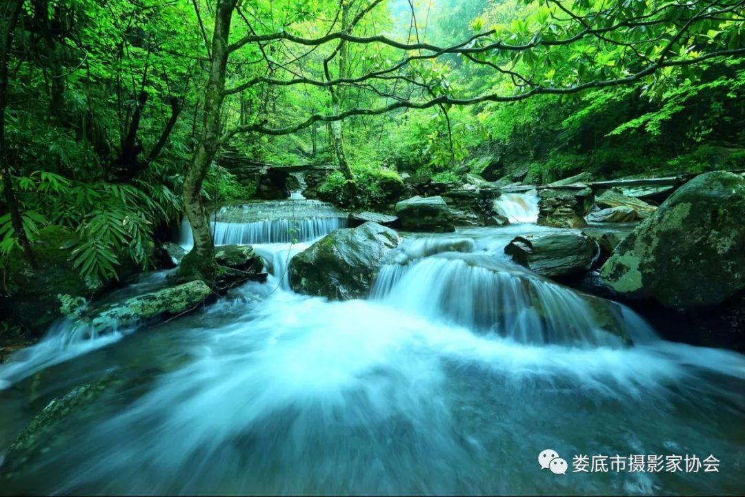 生态娄底美丽家园——【壮丽70年奋斗新时代】娄底首届风光摄影作品展览生态小品作品选登