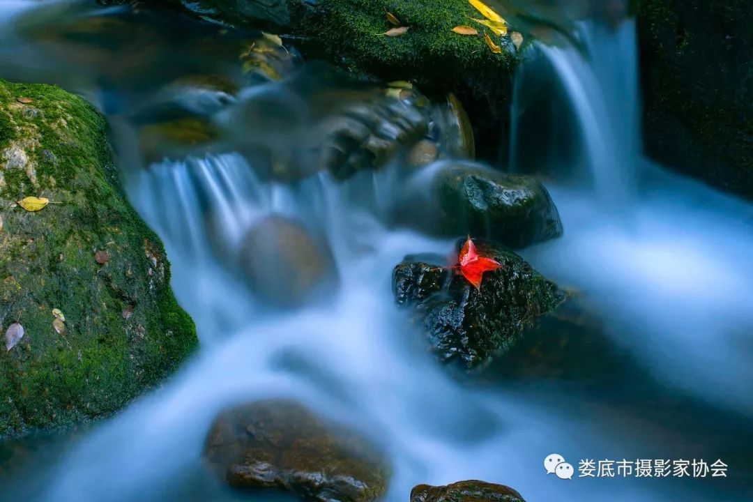 生态娄底美丽家园——【壮丽70年奋斗新时代】娄底首届风光摄影作品展览生态小品作品选登