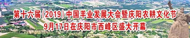 庆阳老修表店,庆阳修表的哪家最专业