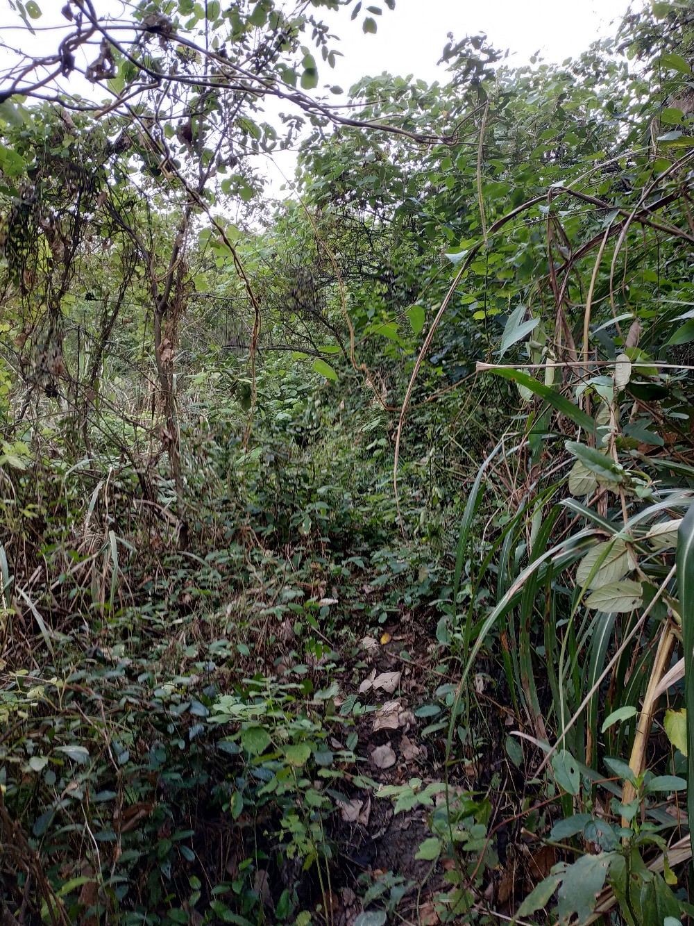 如何把握钓鱼时间,一天钓鱼最好时间段是中午吗