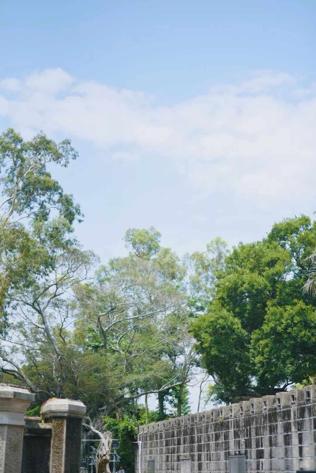 厦门自助旅游食住攻略,厦门旅游吃什么实惠