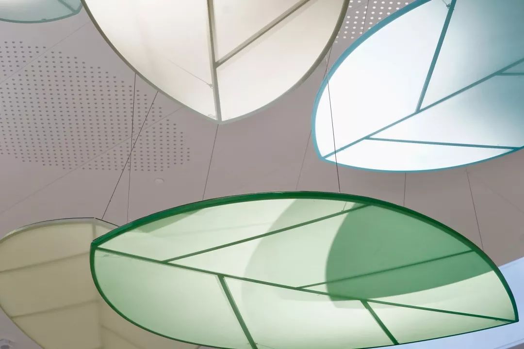 省政府点名表扬,被省卫健委通报批评后果