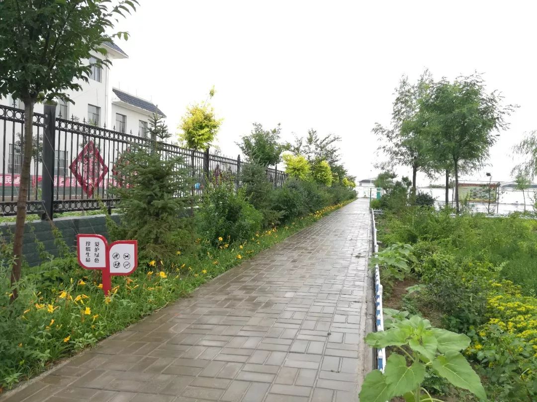 武威第二二十三中学,武威第二十二中学地址