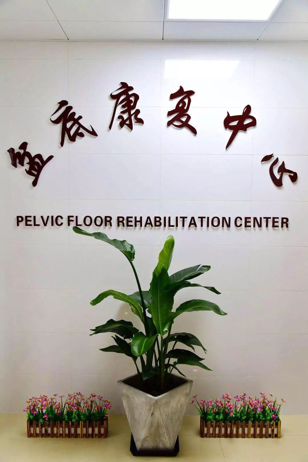 「女科荟」剖宫产妈妈的小确信？