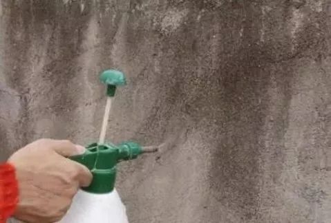 房子顶上粘上腻子起泡是什么原因,腻子顶上干了起泡怎么处理