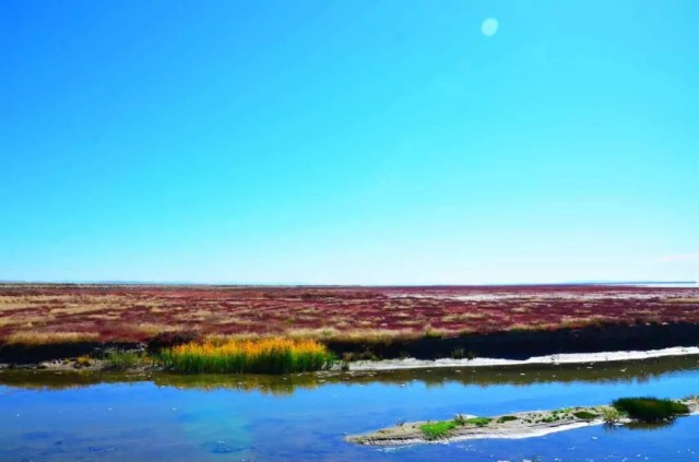 内蒙古的秋天有多美,内蒙古的秋天有多美啊
