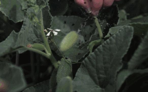 分享到微信朋友圈怎么都是链接,分享到微信朋友圈的时候带上链接