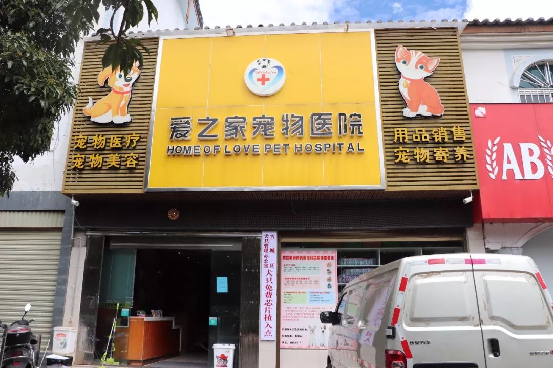 丽江宠物基地,丽江最好的宠物医院