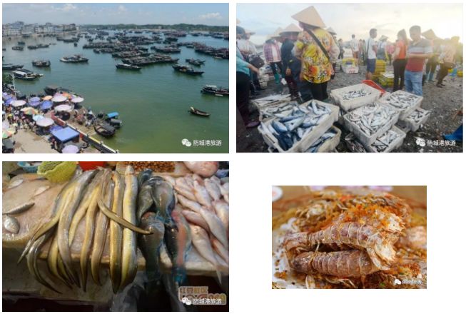 上山下海去旅行,上山下海出国游