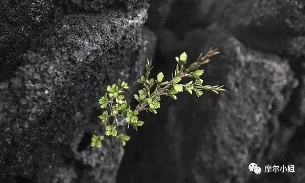 4款好用的贵妇面霜测评,2023贵妇面霜测评排行榜