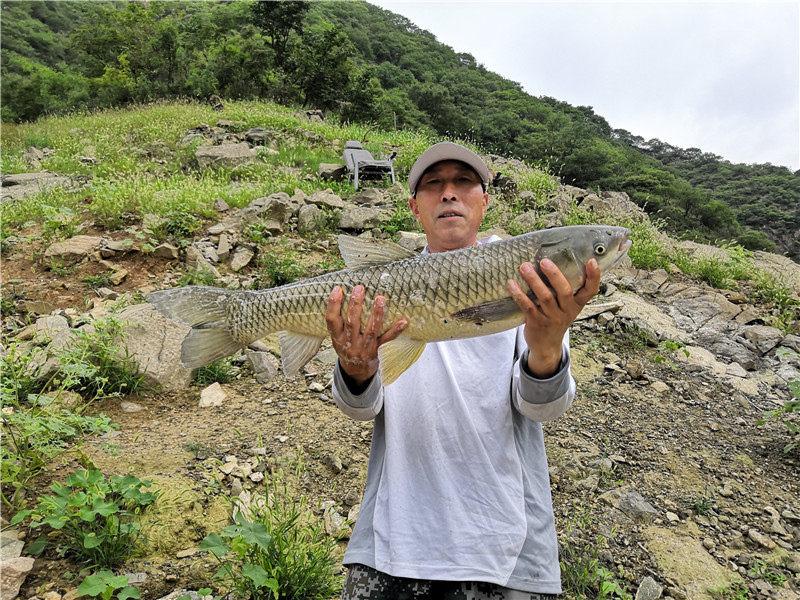 首钓官道狂拉草快乐才是垂钓的根本