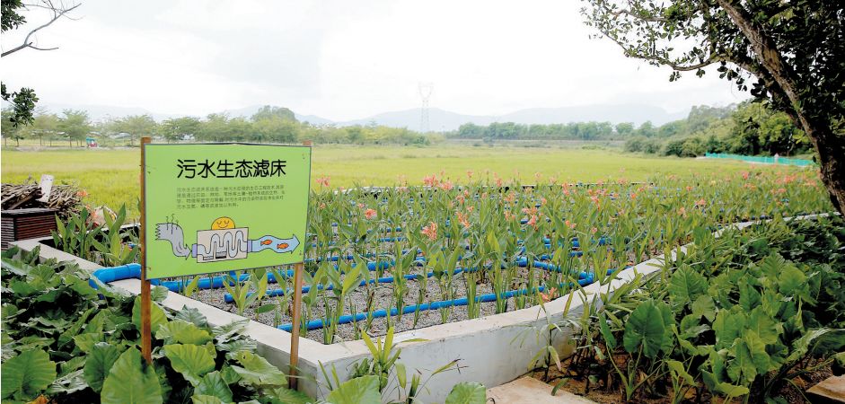 三亚这75个网点销售平价菜、医保个人缴费开始...关注每周三亚