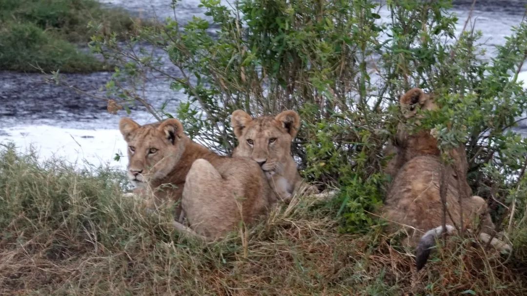 鍧︽灏间簹涓庡ぇ鑷劧,鍧︽灏间簹鑷劧椋庡厜鐪熺編