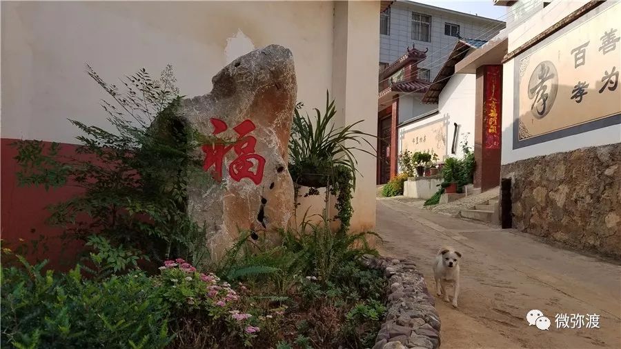 弥渡最富的村庄,弥渡德苴最美村庄