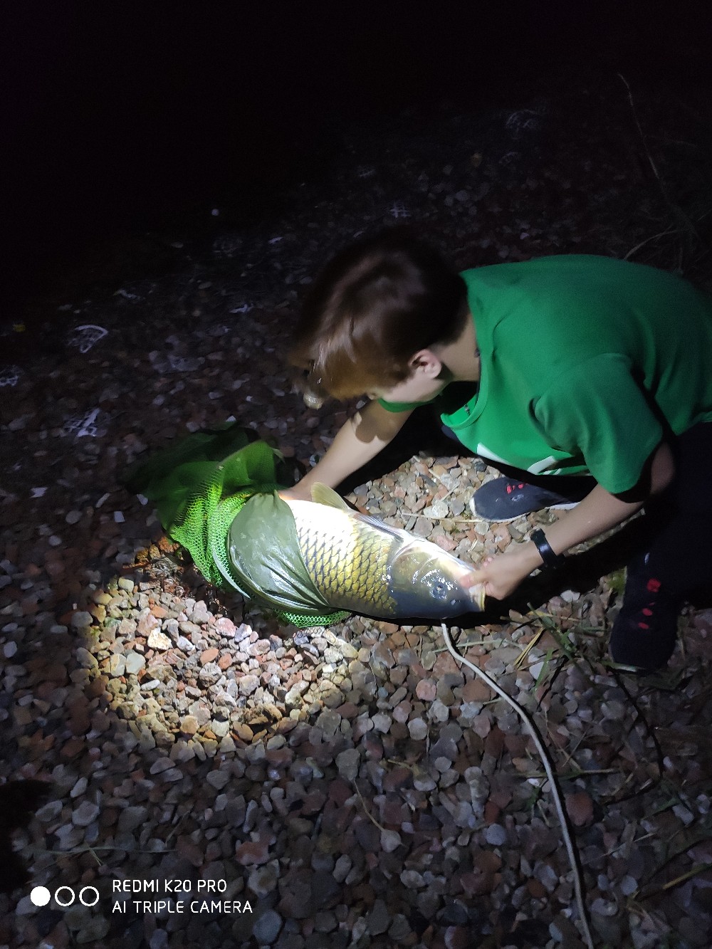 潮白河钓鱼饵料配方,潮白河鱼饵配方