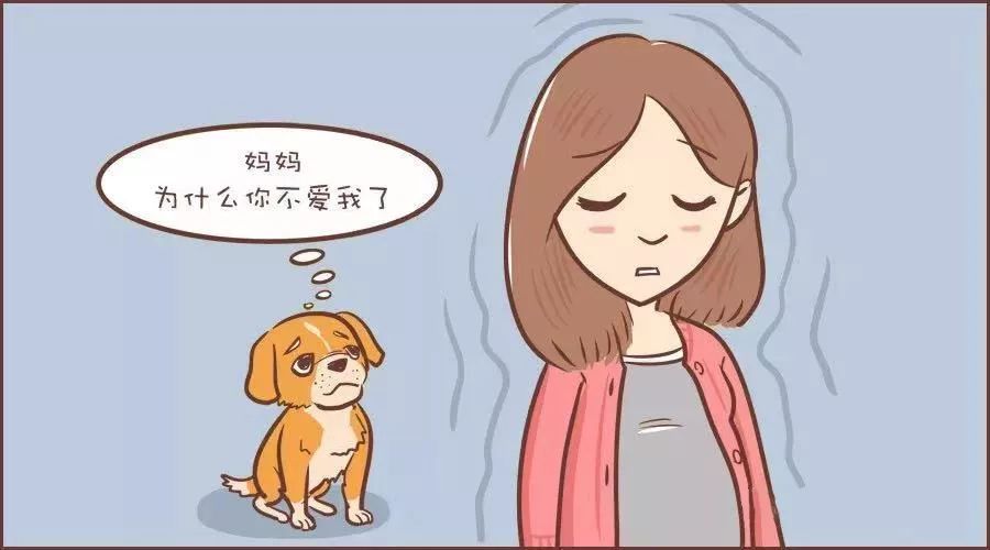 怀孕能养宠物吗专家怎么说的,怀孕可以养宠物猫咪吗