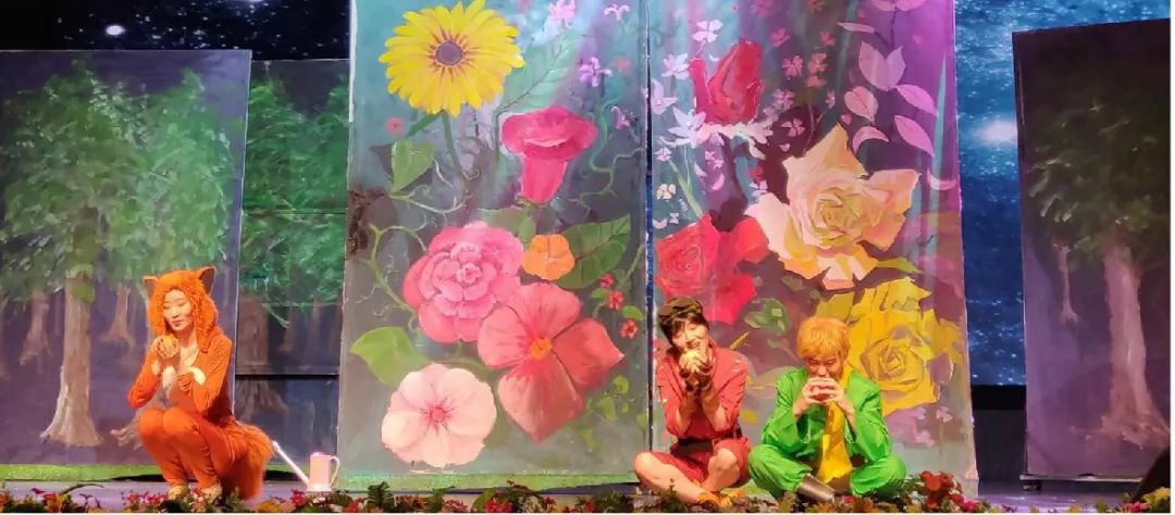 十一国庆节动物王国表演时间表,假期动物世界表演