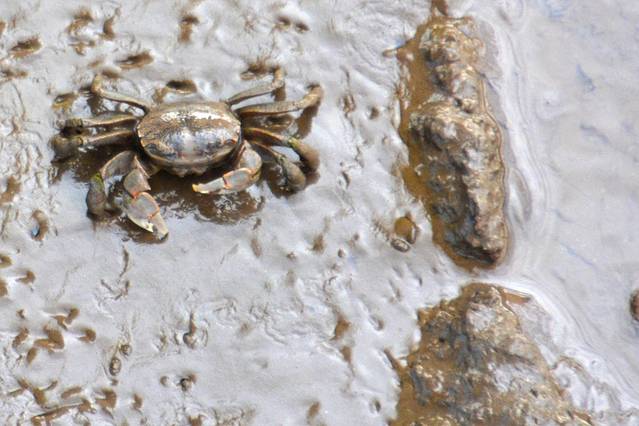 自驾锦州盘锦铁刹山路线,辽宁棋盘山自驾游攻略