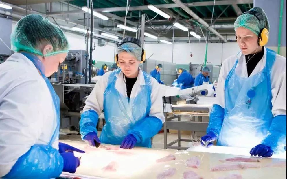 该不该给宝宝买鳕鱼,鳕鱼买哪种鳕鱼给宝宝吃