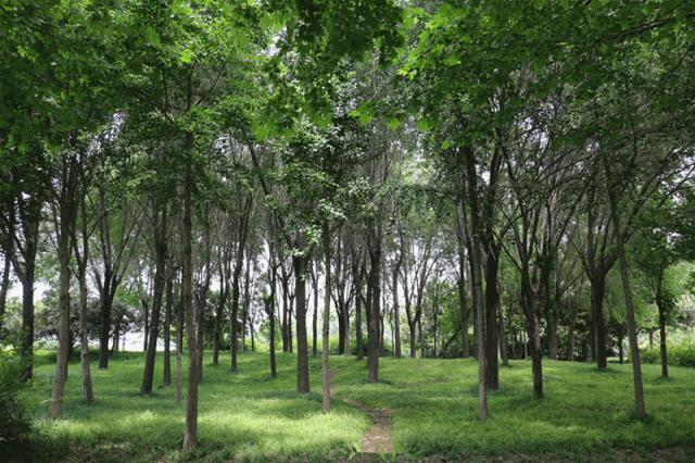 超级期待过年,看看未来的郑州