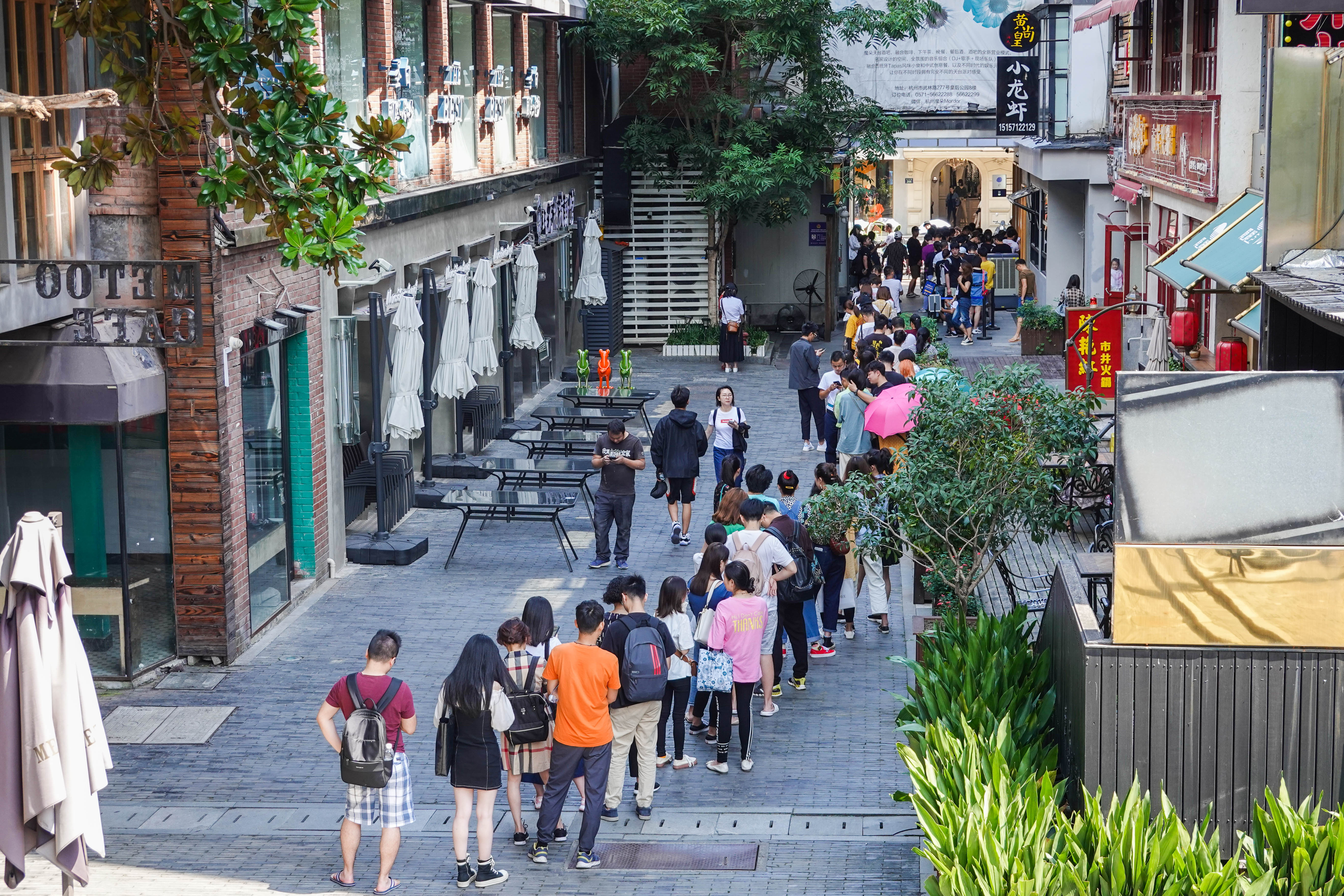 一杯100元奶茶,8小时排队500块一杯