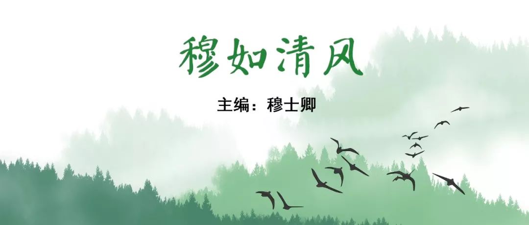 中医治疗脑夹层动脉瘤,3d演示夹层动脉瘤支架治疗