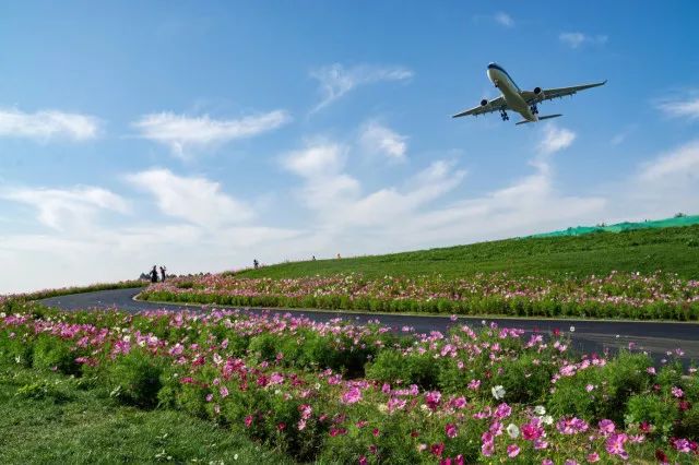 成都双流区旅游省钱攻略推荐,五一在双流适合去哪旅游